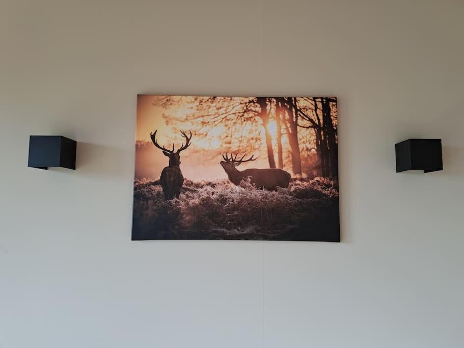Apartmán Lange Heide Otterlo Exteriér fotografie